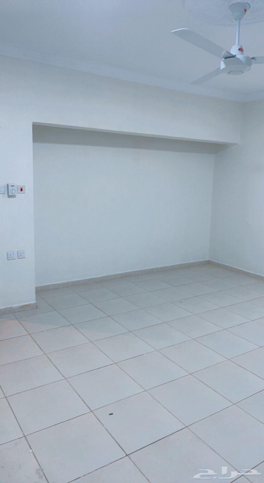 2 bedroom apartment in Al Naeem 7