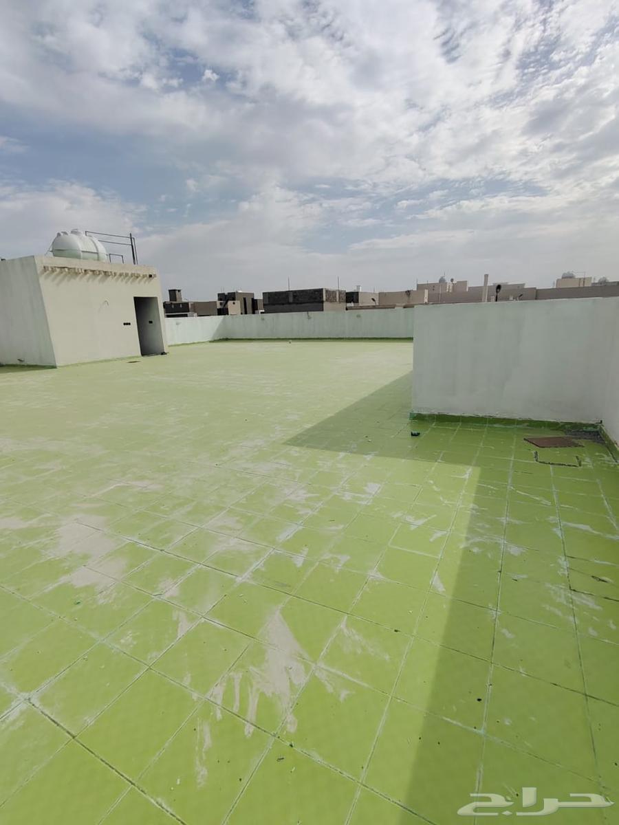 فيلا 7 غرف في الصفوة 12