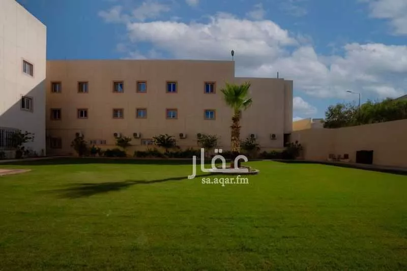 شقة 1 غرف في النخيل 15