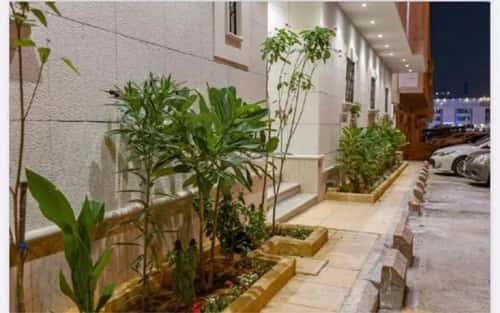 شقة 1 غرف في العقيق 3