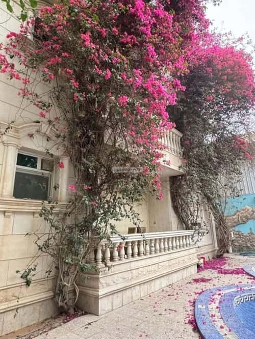 فيلا 8 غرف في الورود 10