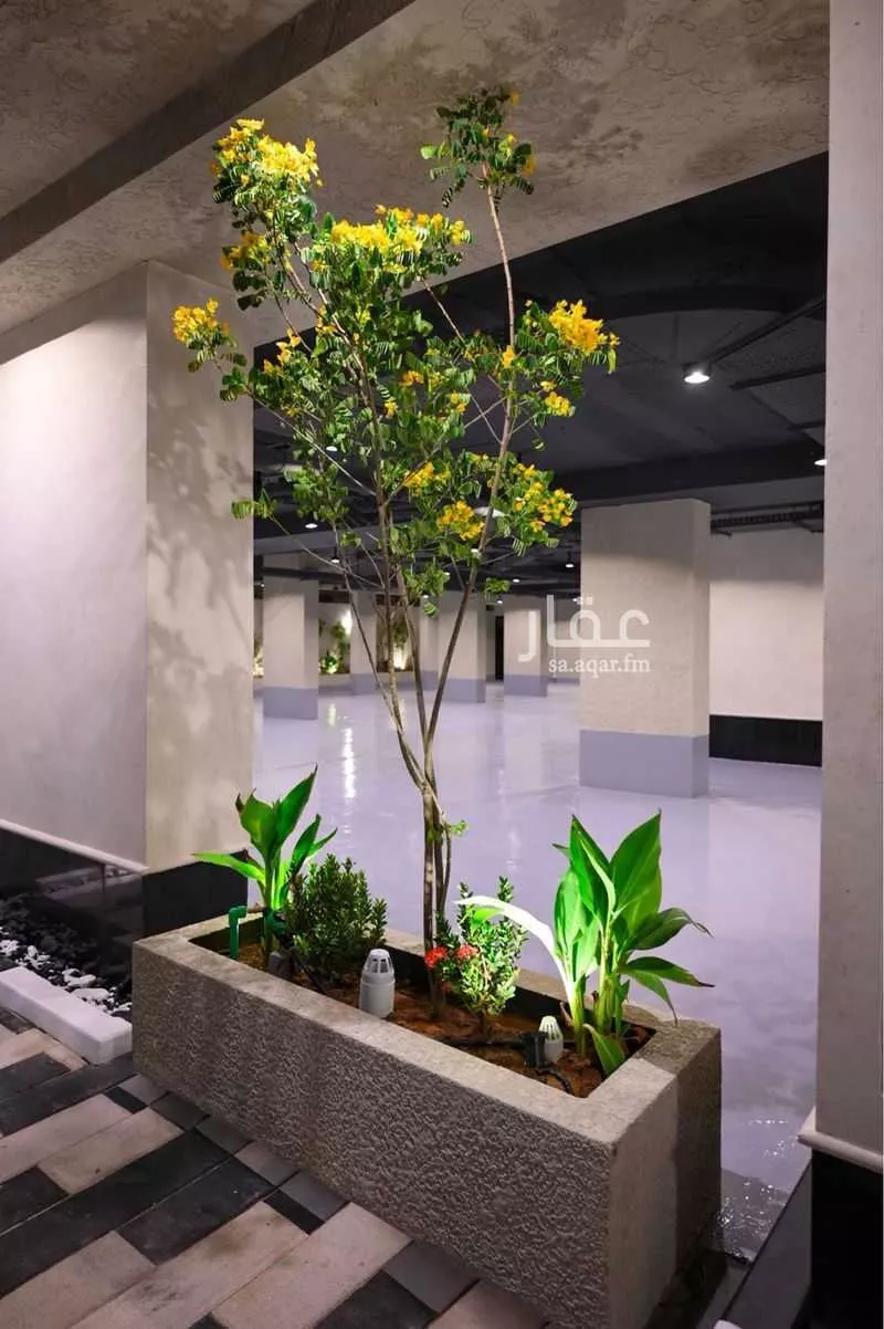 عمارة 600 م² في العليا 14