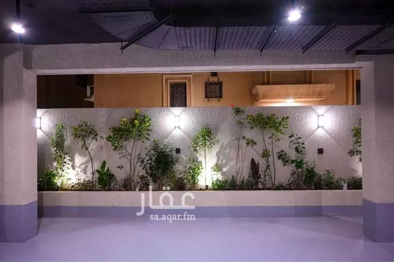 عمارة 600 م² في العليا 6