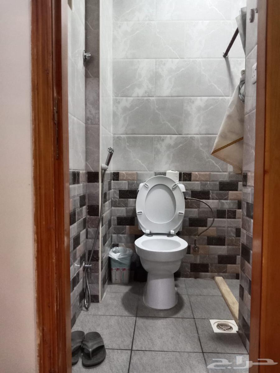 شقة 3 غرف في شظاة 2