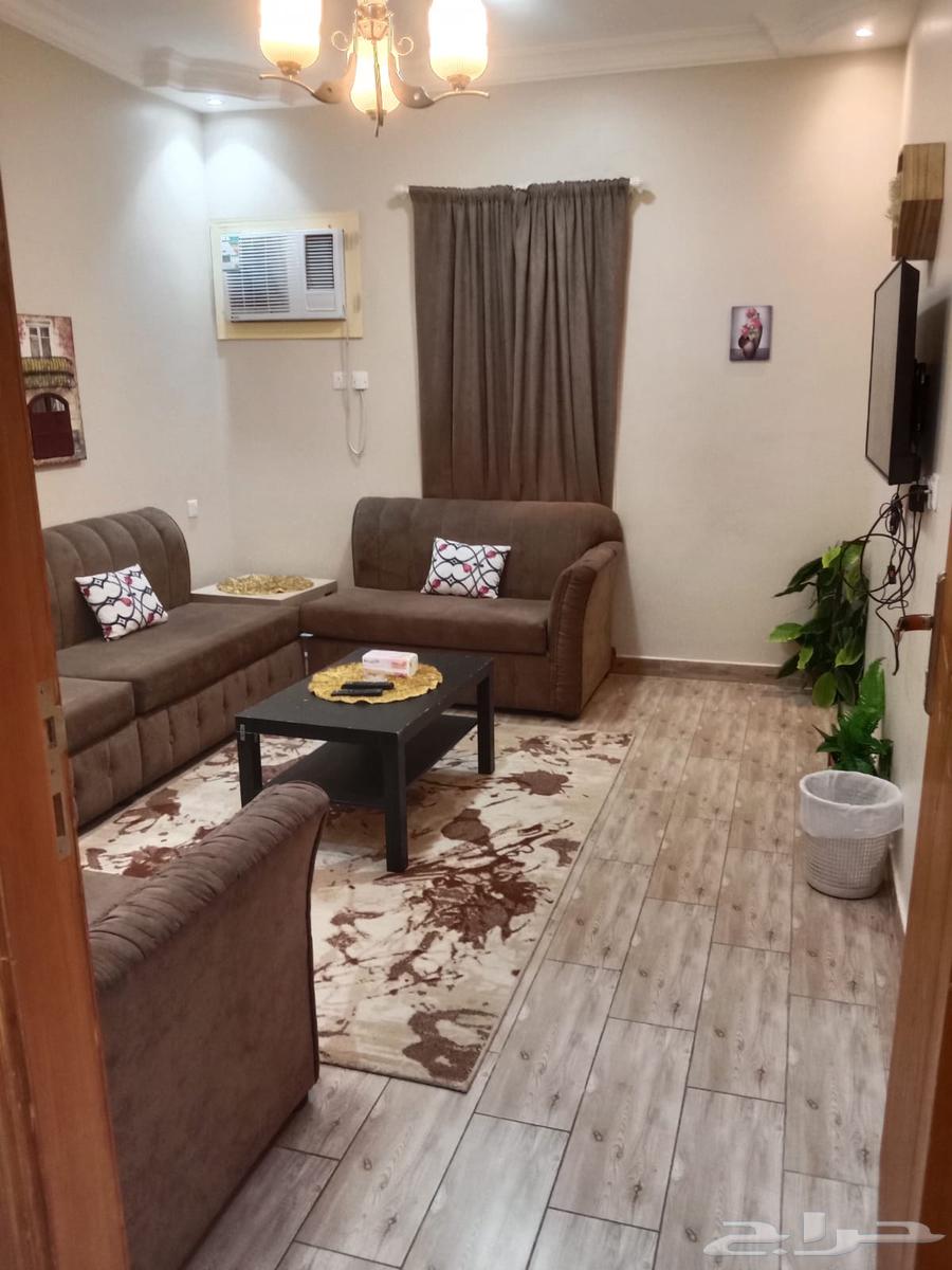 شقة 3 غرف في شظاة 6