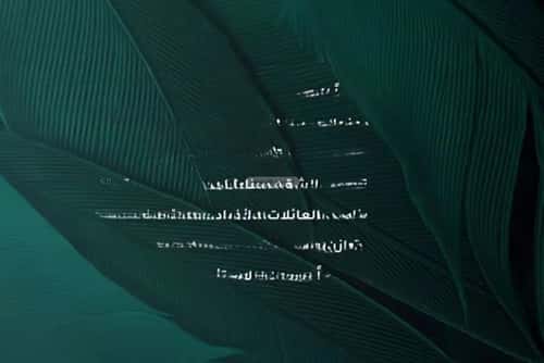 3 bedroom apartment in Al Fayha 3