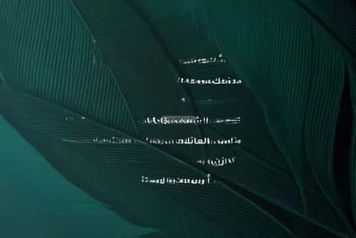 شقة 3 غرف في الفيحاء 3