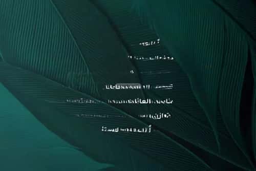 شقة 5 غرف في الفيحاء 3