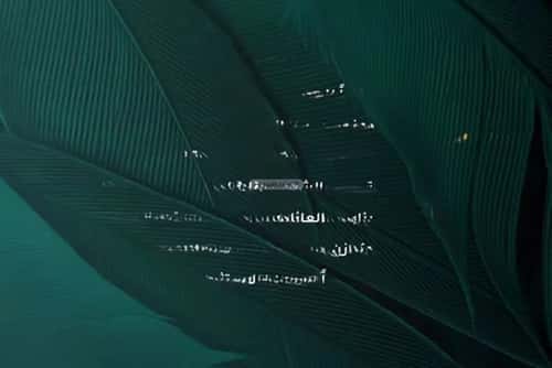 شقة 5 غرف في الفيحاء 5