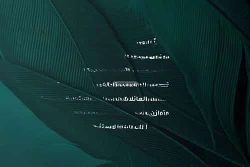 شقة 3 غرف في الفيحاء 3