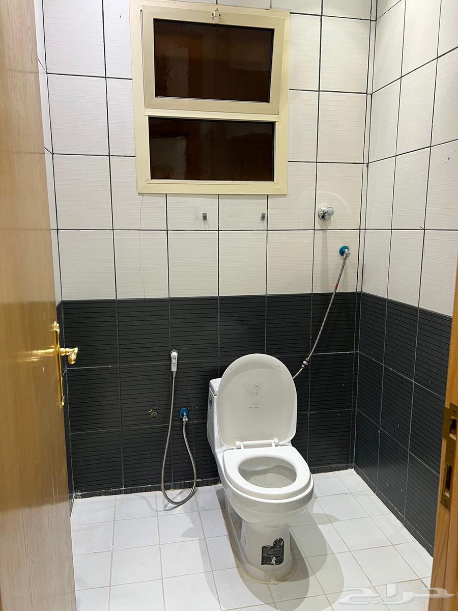 شقة 2 غرف في الياسمين 3