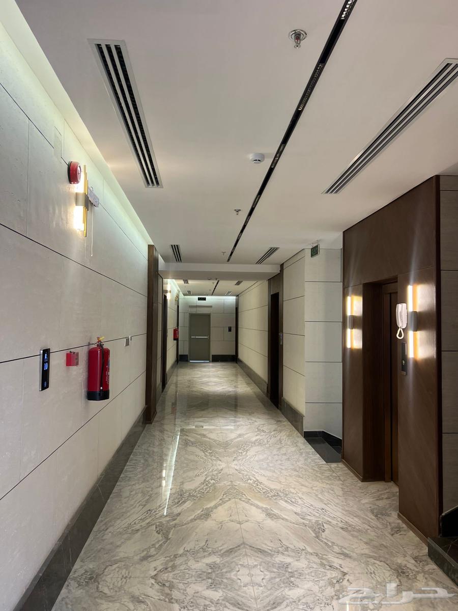 شقة 3 غرف في الرمال 6