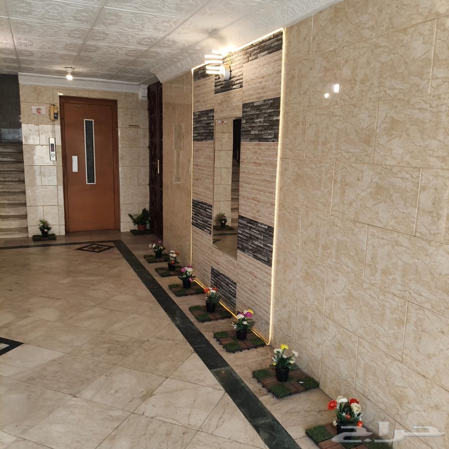 شقة 3 غرف في الربوة 2