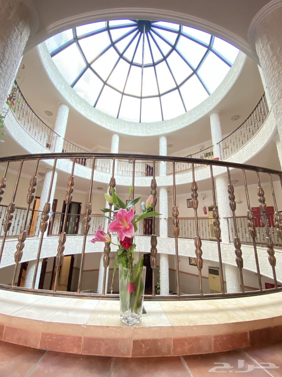 شقة 1 غرف في السلامة 20