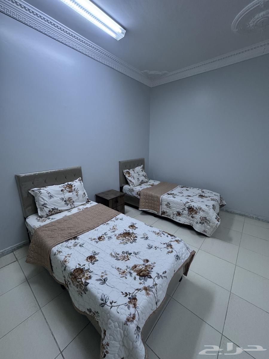 شقة 2 غرف في طيبة 8