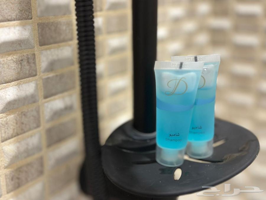 شقة 1 غرف في العقيق 13