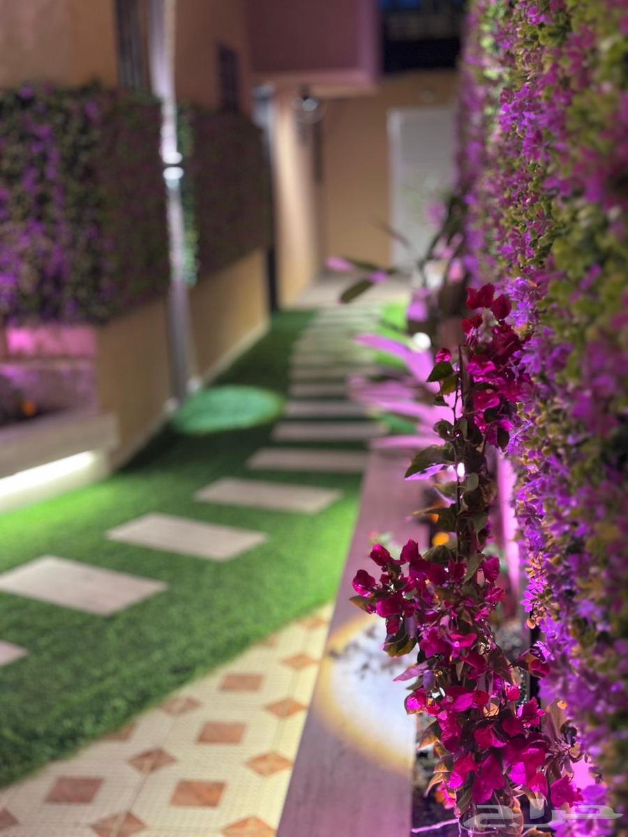 شقة 1 غرف في العقيق 8