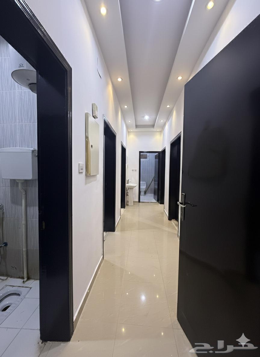 شقة 3 غرف في النخيل 7