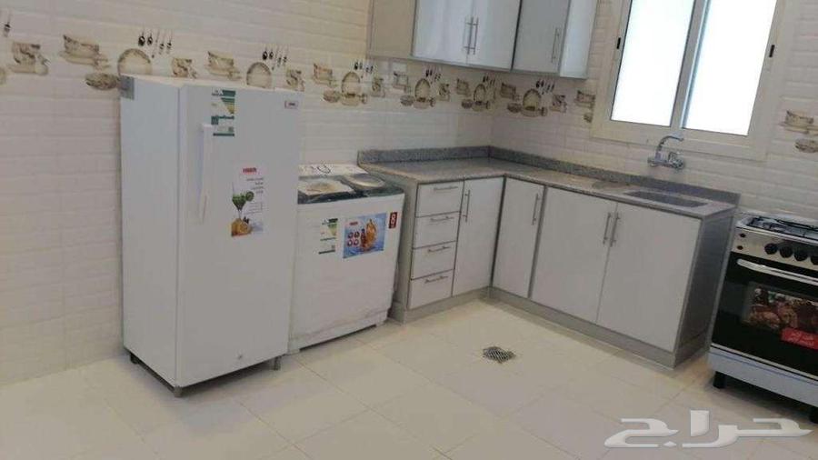 شقة 1 غرف في ظهرة لبن 5