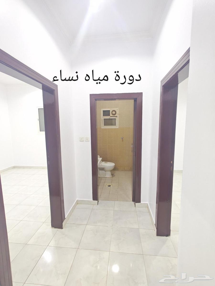 شقة 3 غرف في الرمال 6