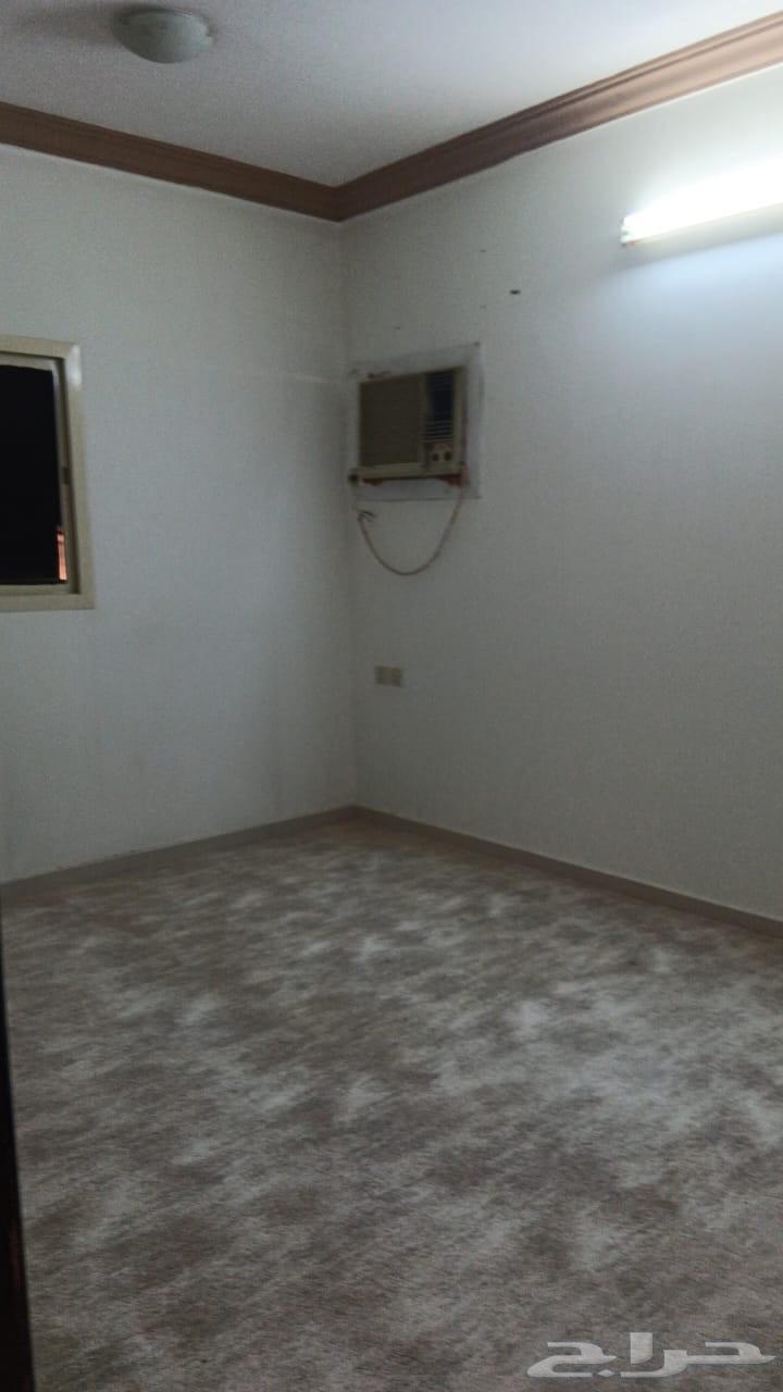 3 bedroom apartment in Al Narjis 11