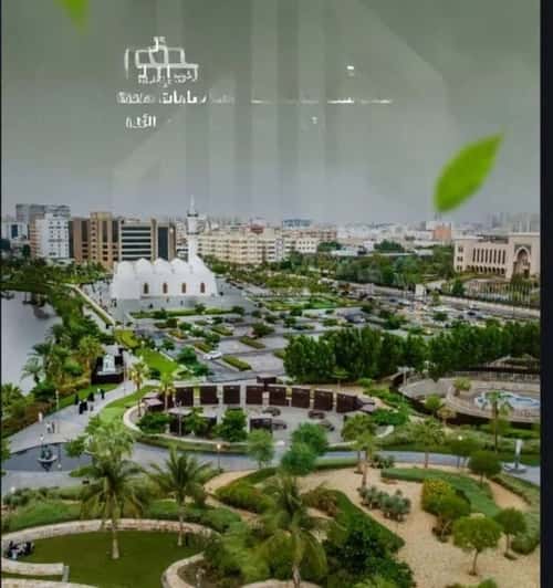 شقة 3 غرف في الشرفية 6