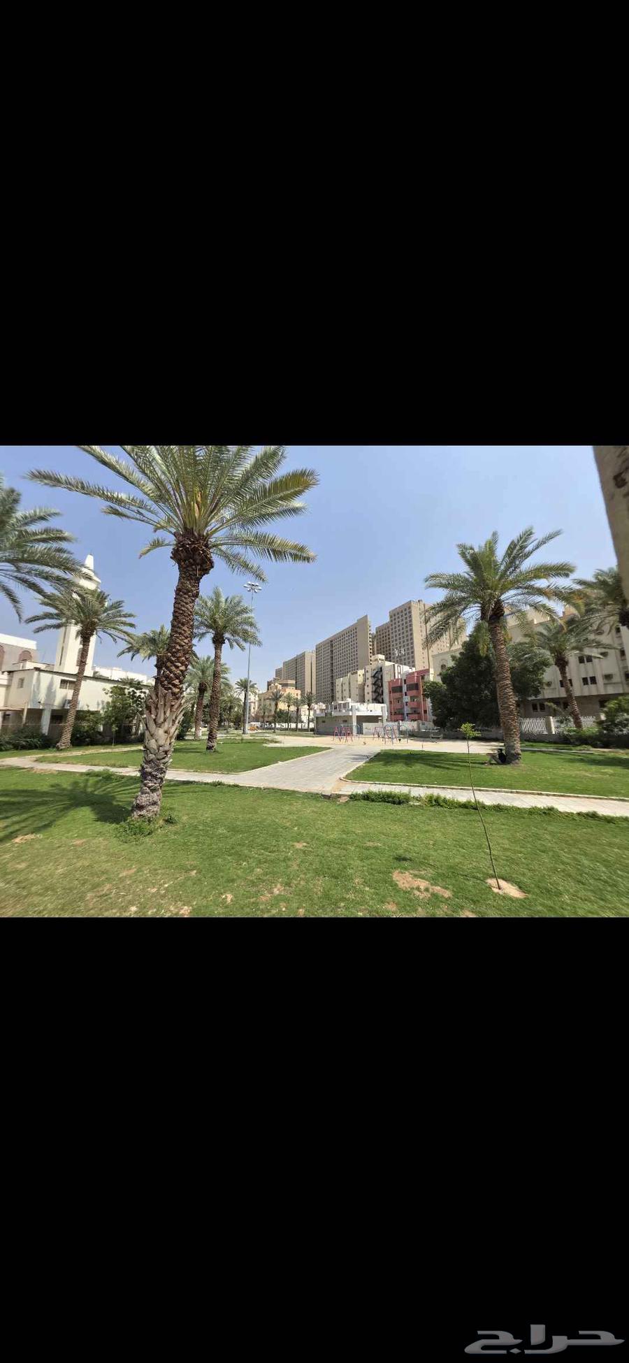 شقة 3 غرف في العزيزية 13