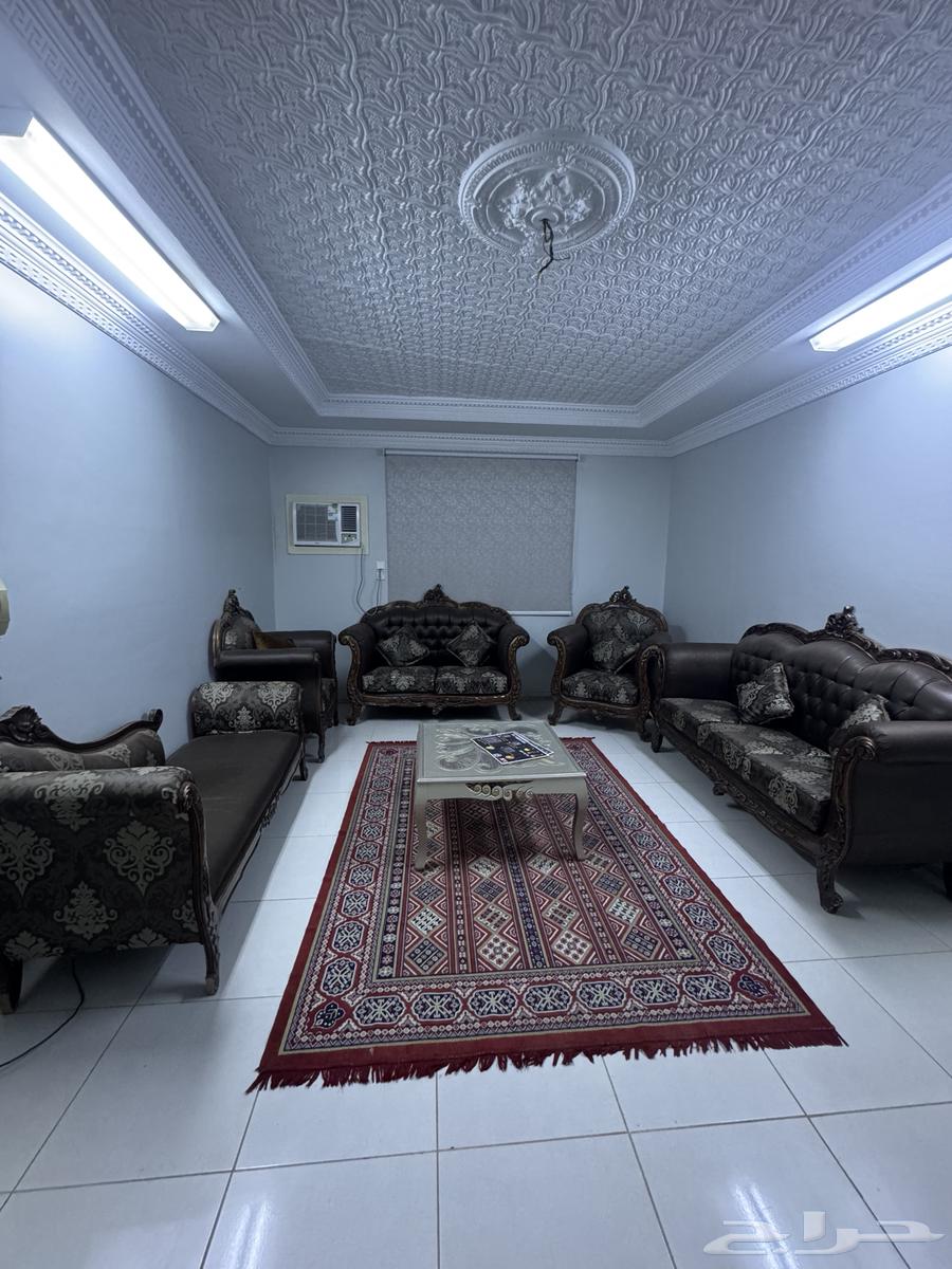 شقة 2 غرف في النخيل 13