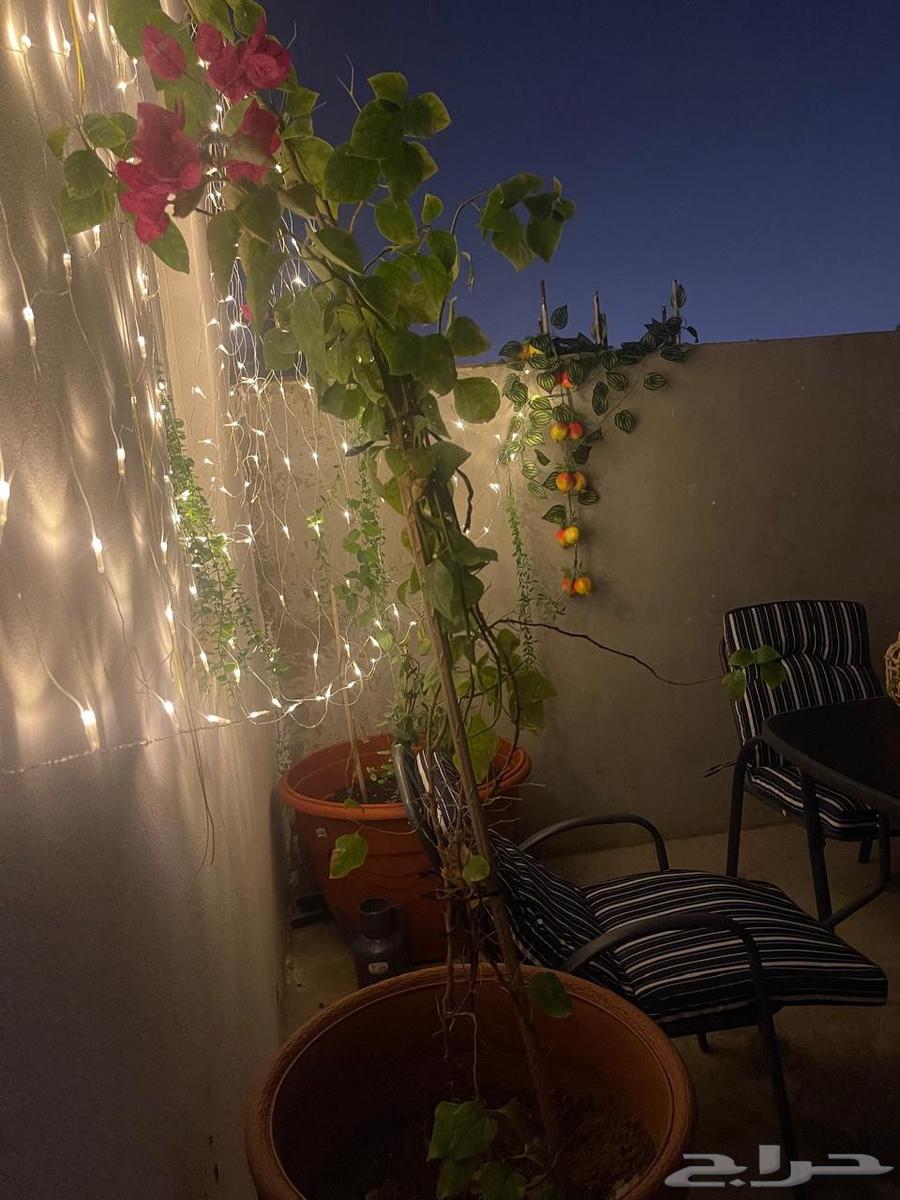 2 bedroom villa in Tuwaiq 3