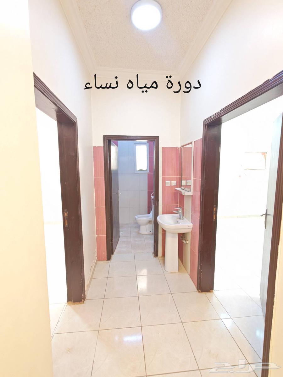 شقة 3 غرف في الرمال 7