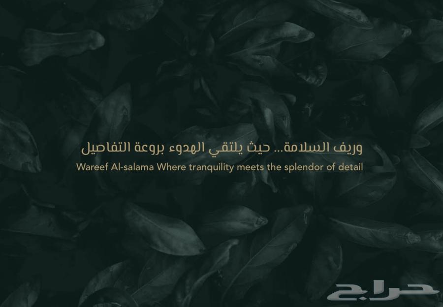 شقة 8 غرف في السلامة 9
