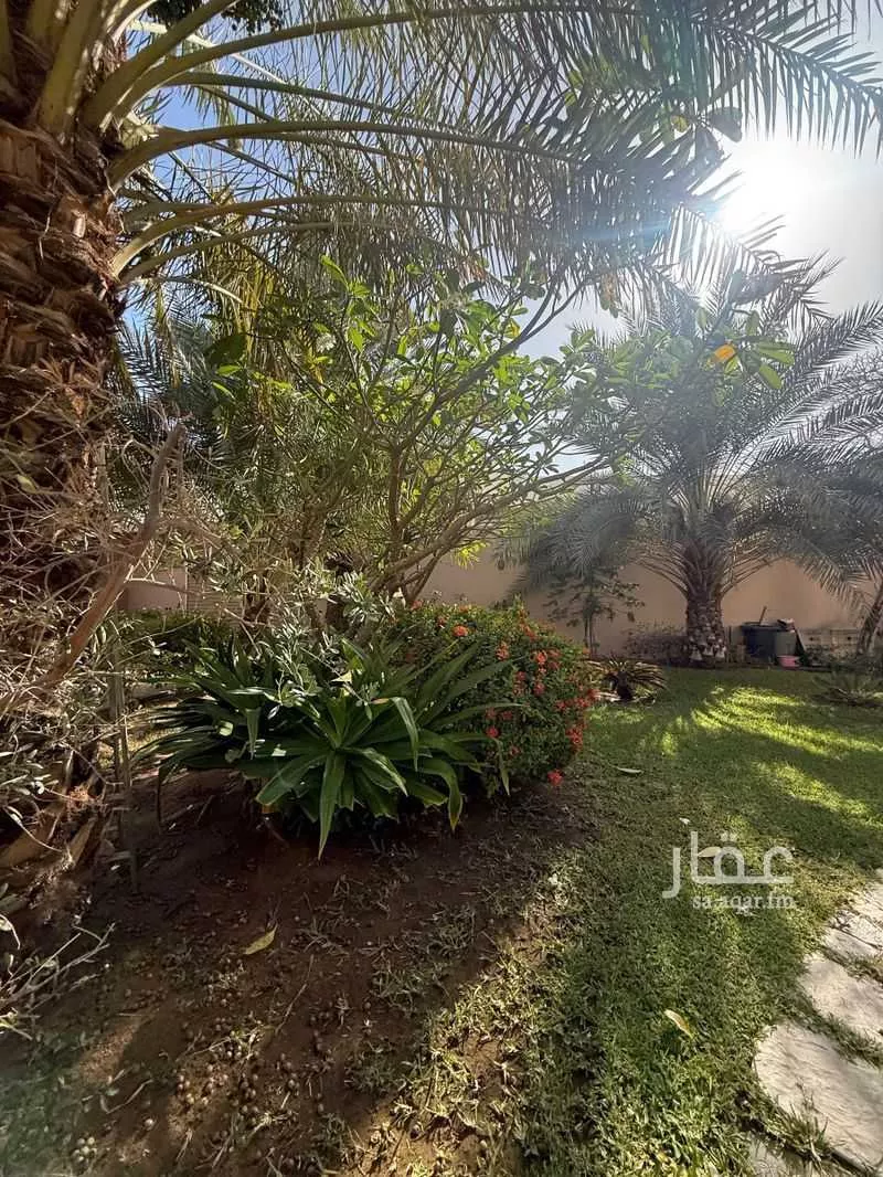 فيلا 15 غرف في الحمراء 2