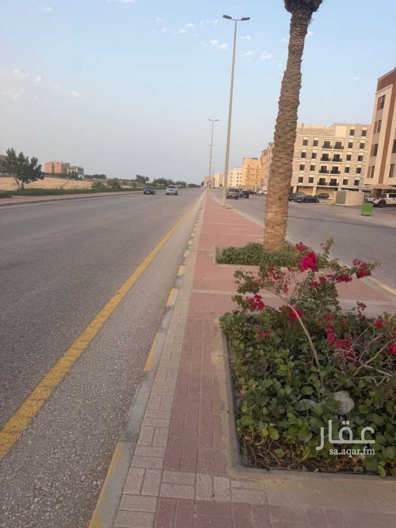 land in Al Hamra, Eastern Province 3