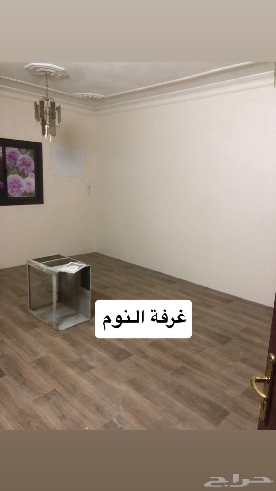 شقة 3 غرف في المنصورة 11