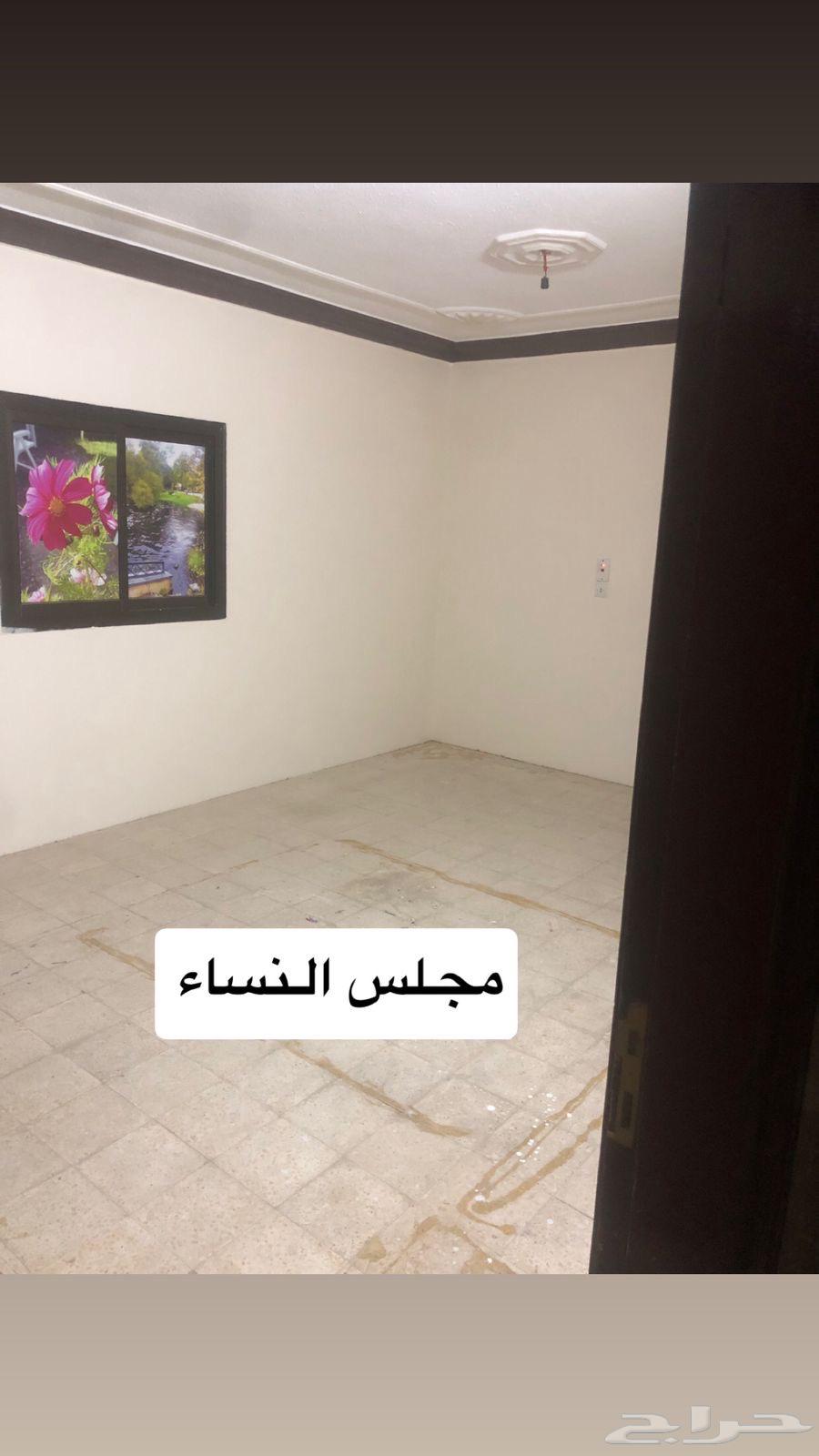 شقة 3 غرف في المنصورة 4
