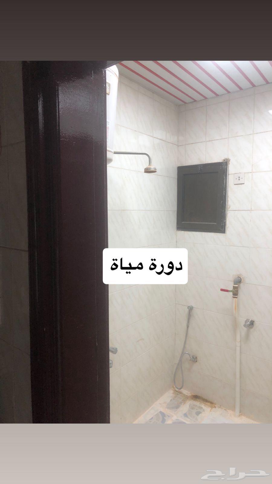 شقة 3 غرف في المنصورة 6
