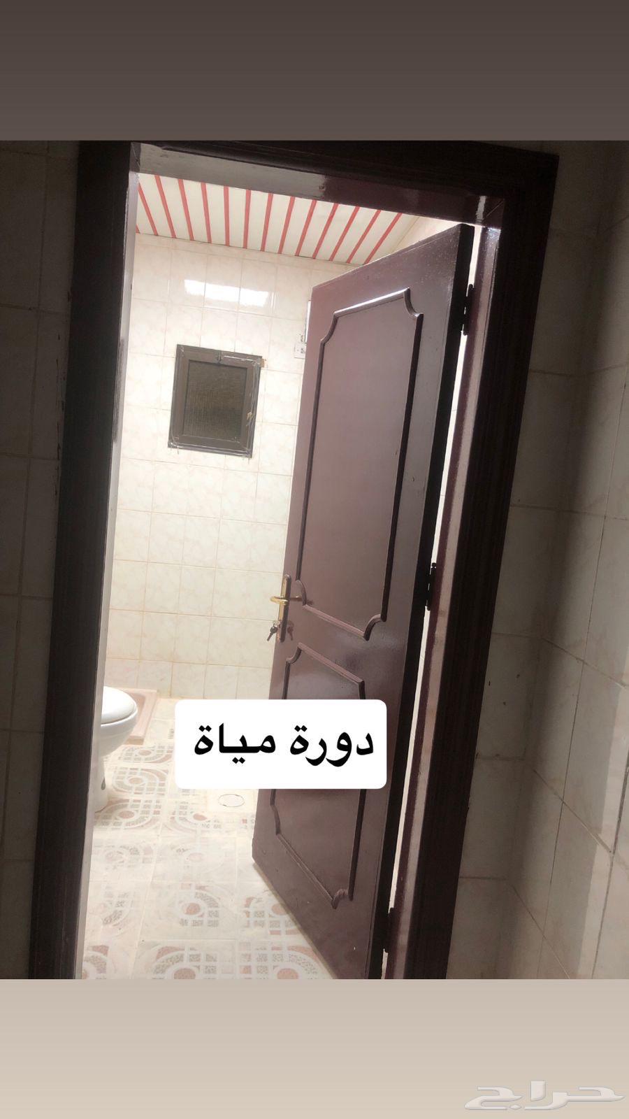 شقة 3 غرف في المنصورة 10