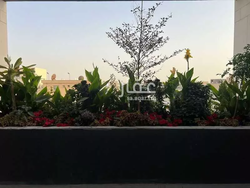 شقة 3 غرف في العارض 5