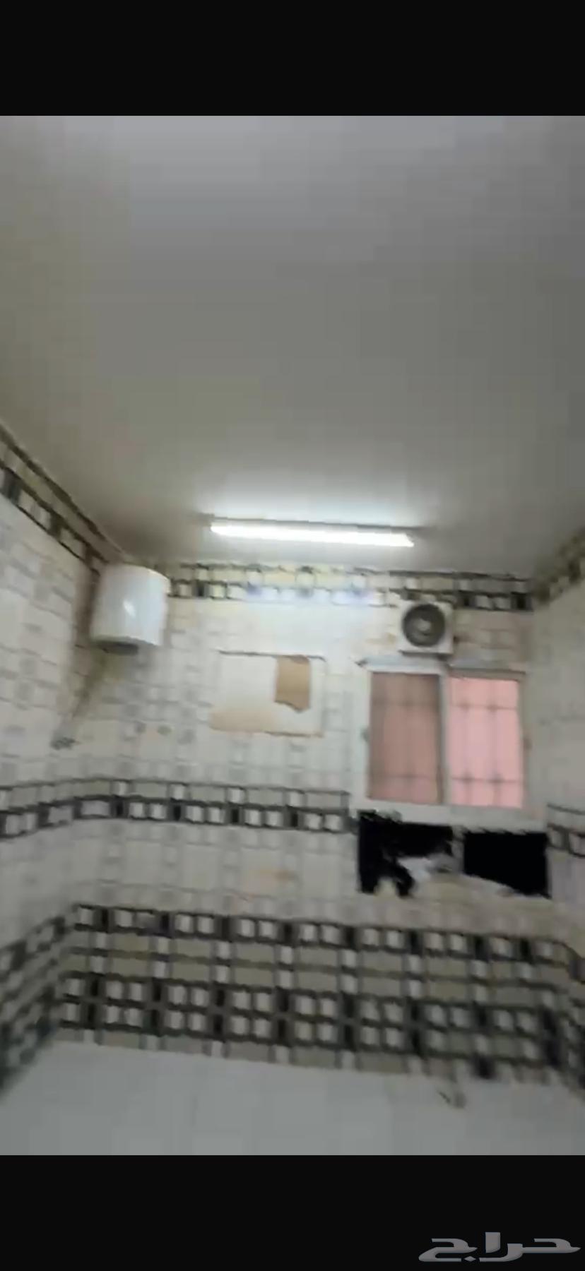 شقة 3 غرف في طويق 7
