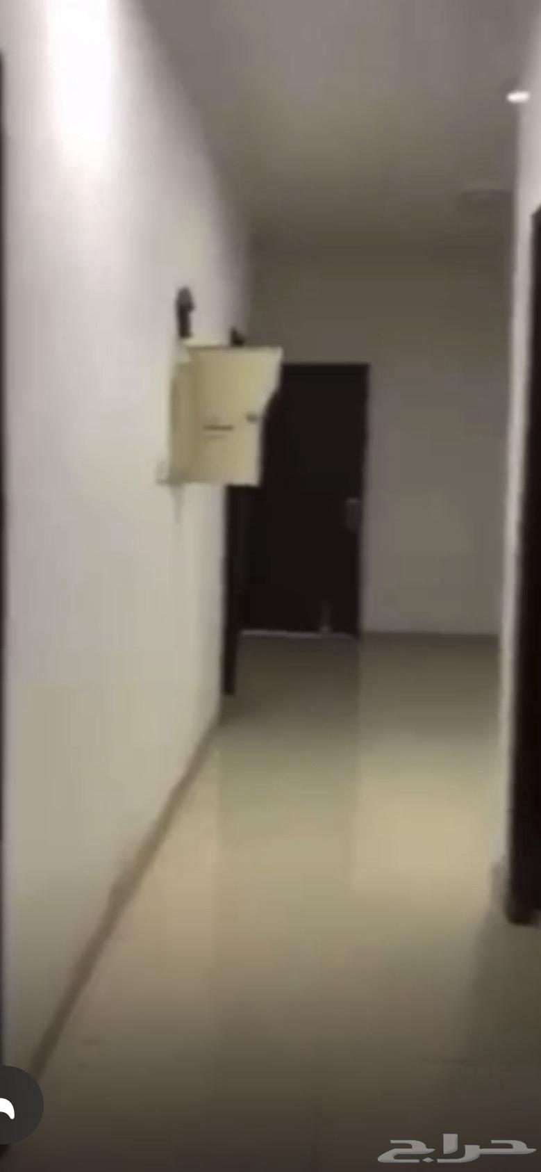 شقة 2 غرف في طويق 6