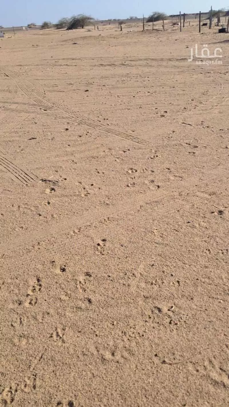 620 sqm land in Jeddah 5