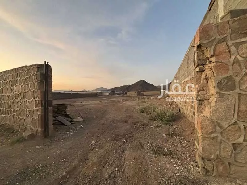 3000 sqm land in Al Ghabah 3