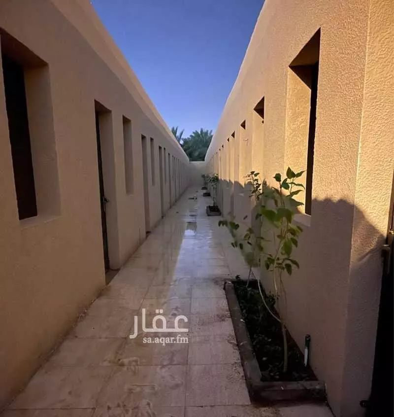 عمارة 2500 م² في الرمال 3