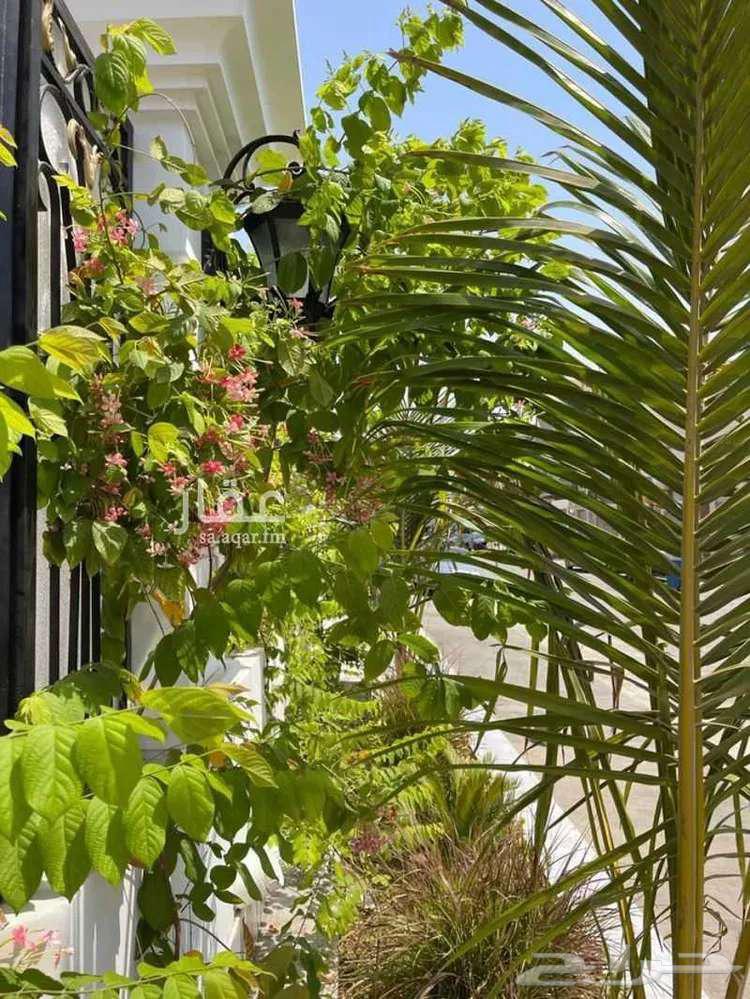 3 bedroom apartment in Al Lulu 2