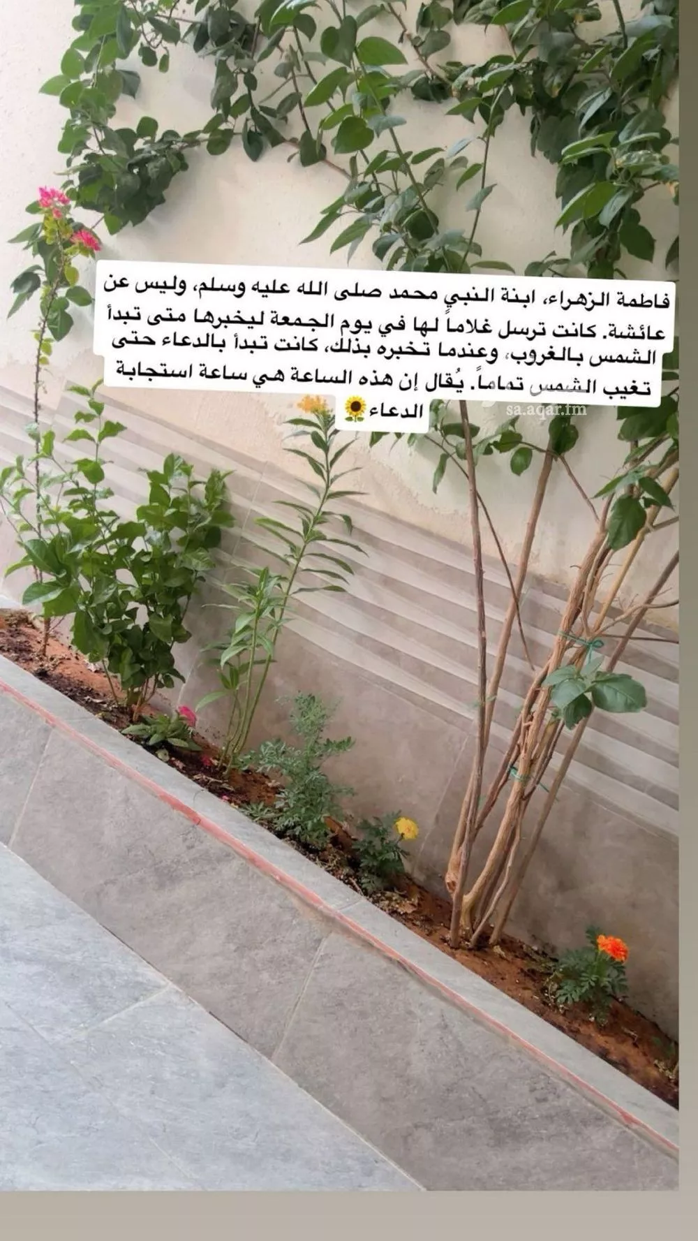 5 bedroom villa in Riyadh 21