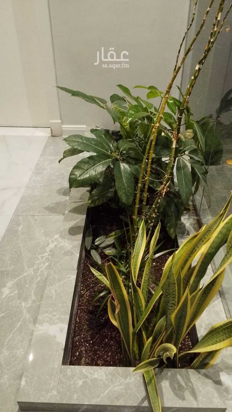 1 bedroom apartment in Al Hamra, Jeddah 5
