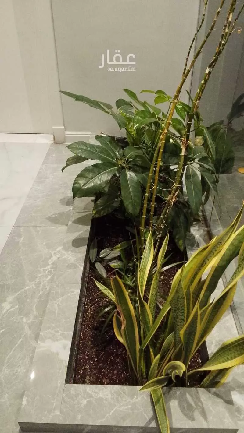 1 bedroom apartment in Al Andalus, Jeddah 5