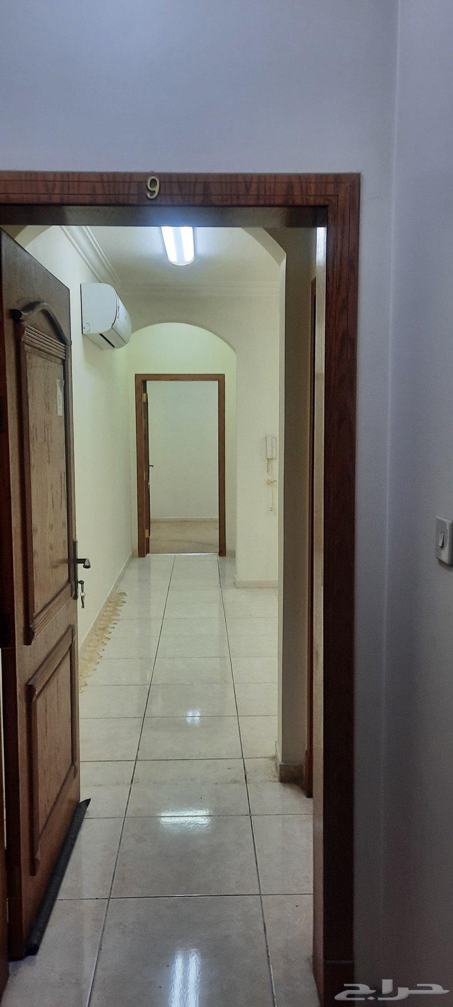 شقة 2 غرف في الجامعيين 4