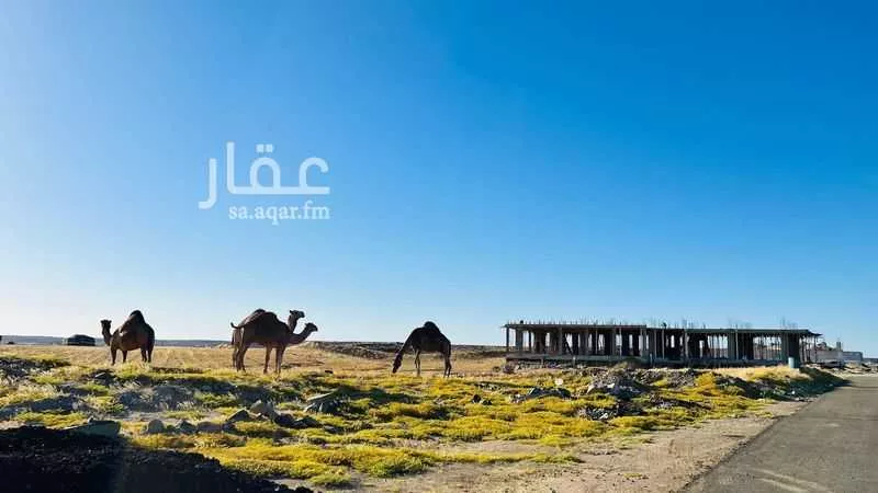1200 sqm land in Jeddah 2