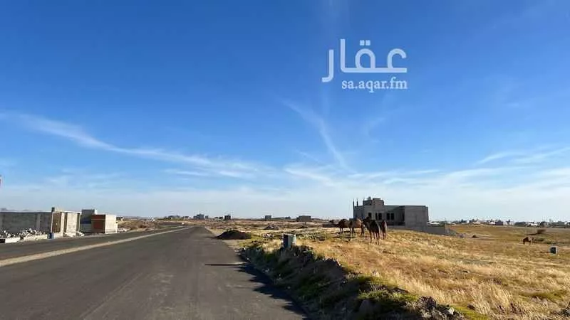 1200 sqm land in Jeddah 3